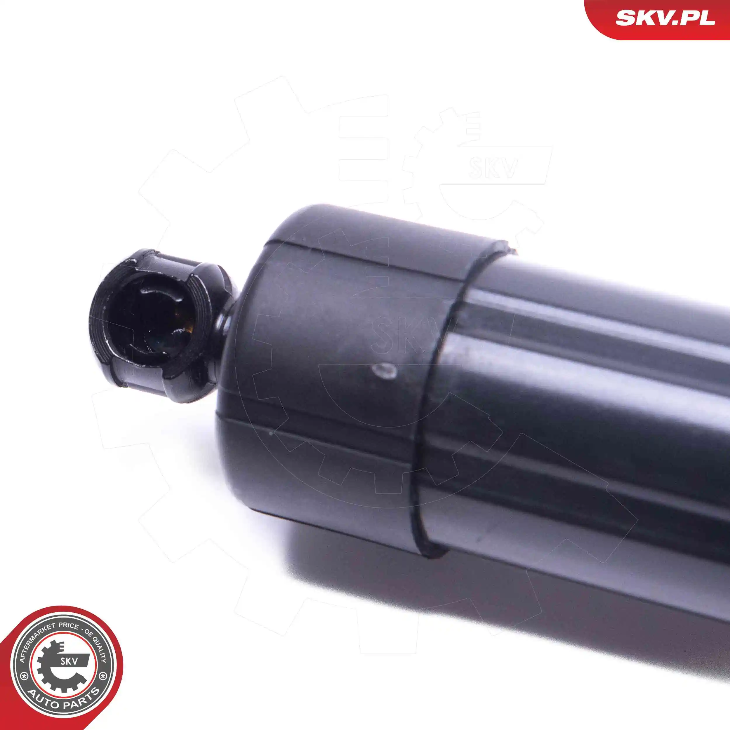 Electric Motor, tailgate 52SKV955