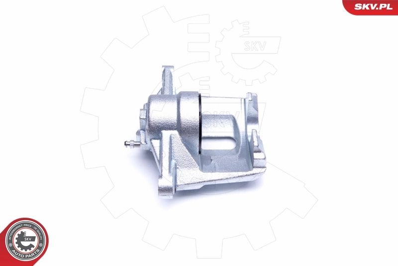 Brake Caliper 42SKV921