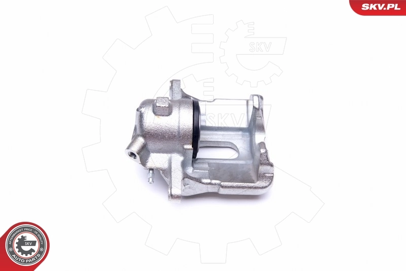 Brake Caliper 42SKV961