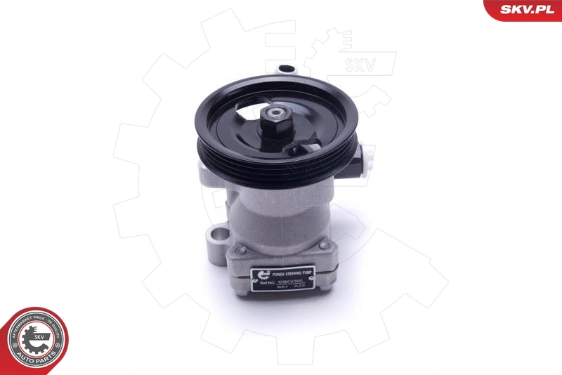 Hydraulic Pump, steering 10SKV300