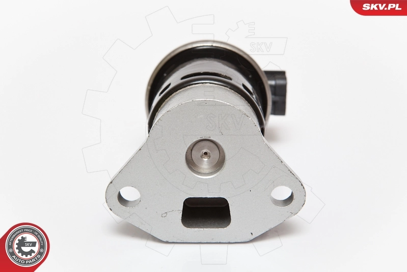 EGR Valve 14SKV070