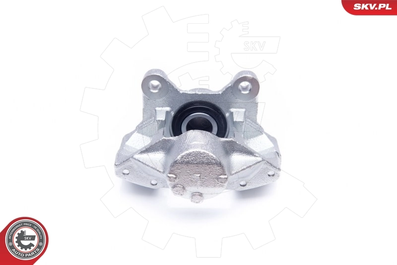 Brake Caliper 42SKV013