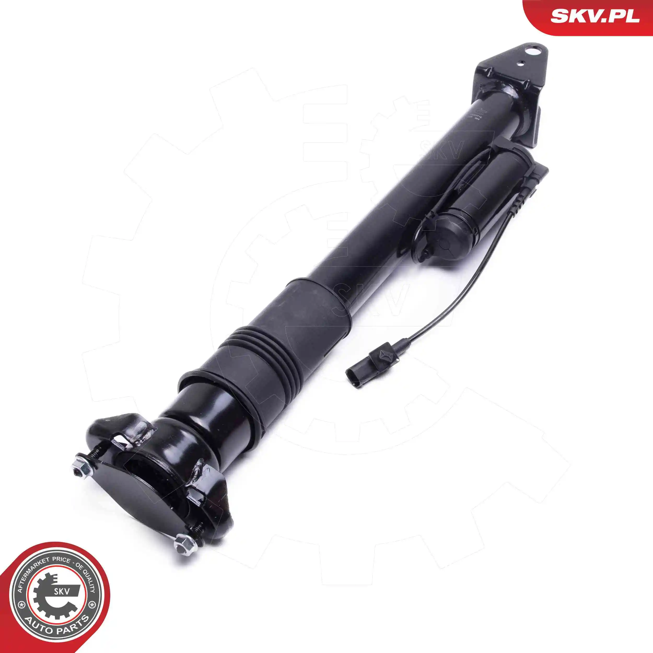 Air Suspension Strut 58SKV715