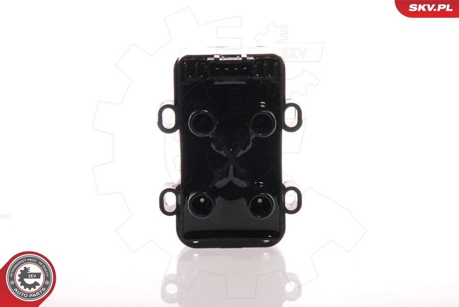 Ignition Coil 03SKV058