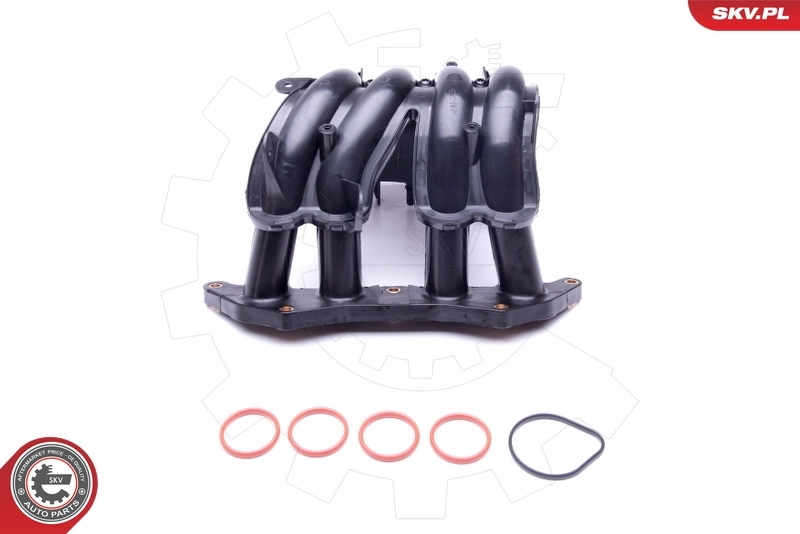ESEN SKV 49SKV044 Intake Manifold Module