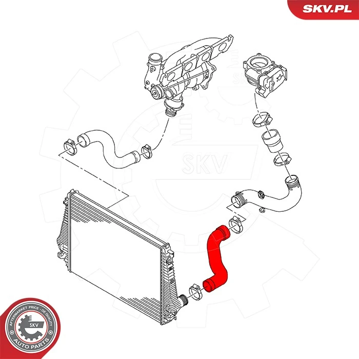 Charge Air Hose 43SKV471