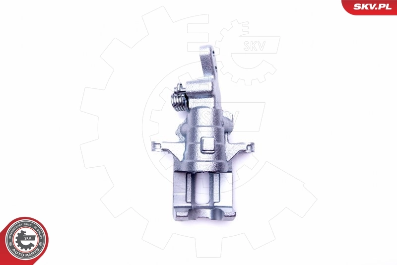 Brake Caliper 42SKV574