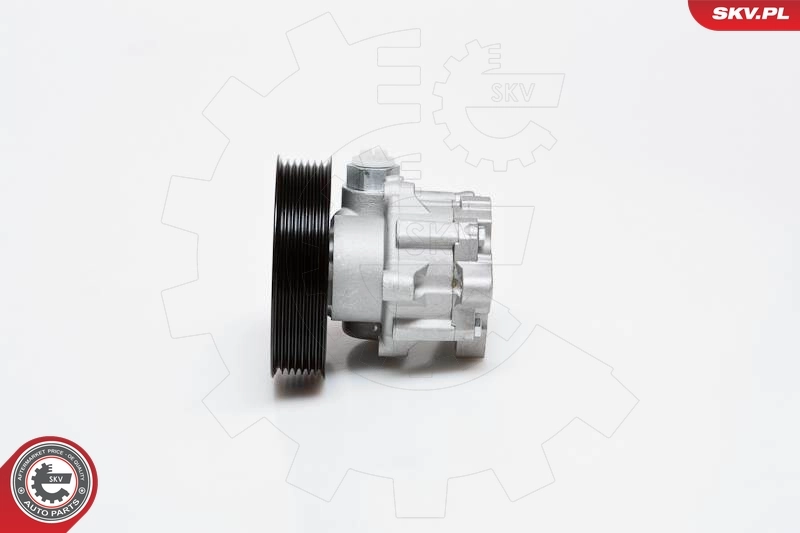 Hydraulic Pump, steering 10SKV024