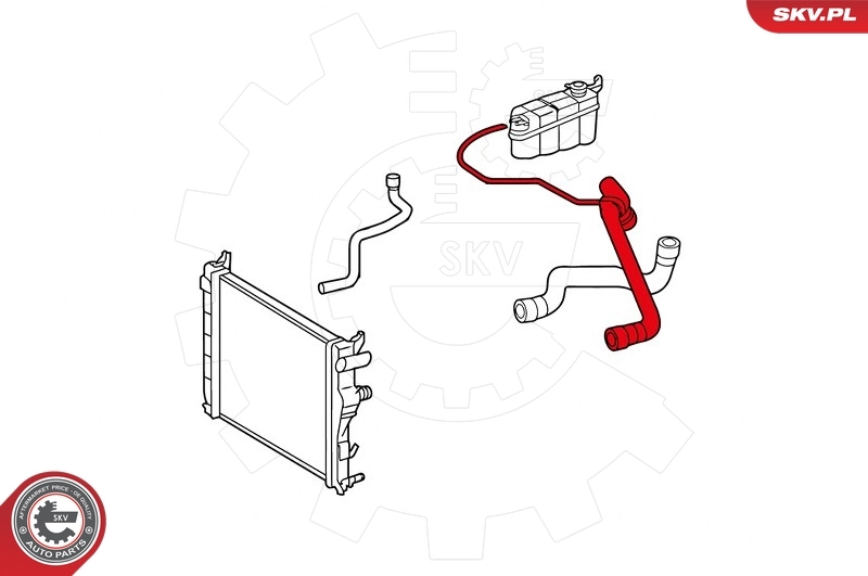 Radiator Hose 43SKV712