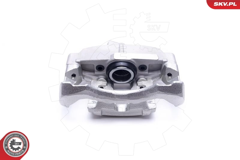 Brake Caliper 55SKV631