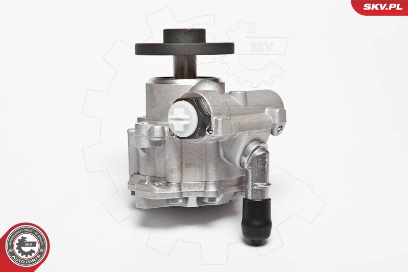 Hydraulic Pump, steering 10SKV123