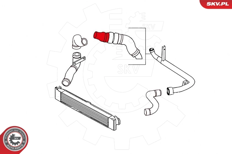 Charge Air Hose 24SKV820