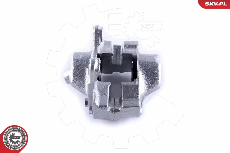 Brake Caliper 55SKV223