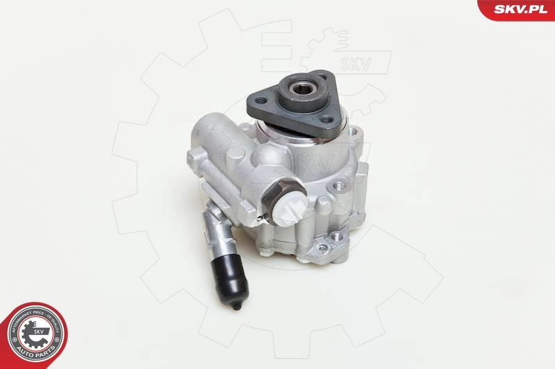 Hydraulic Pump, steering 10SKV048