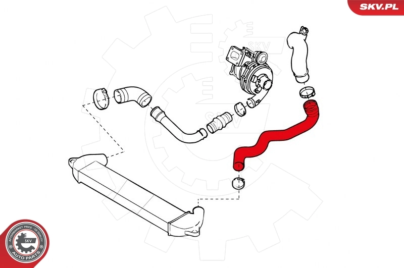 Charge Air Hose 43SKV031
