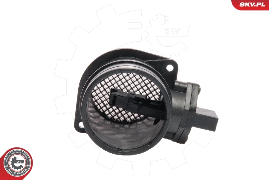 Luftmassenmesser 07SKV029