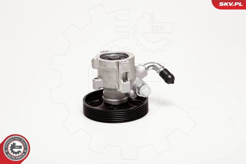 Hydraulic Pump, steering 10SKV031