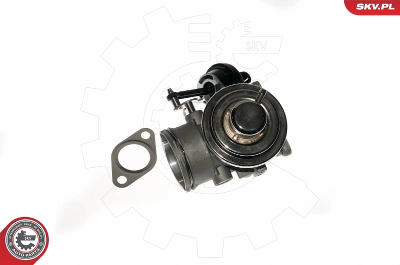 EGR Valve 14SKV090