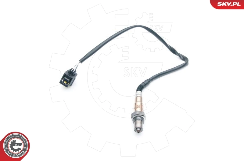 Oxygen Sensor 09SKV700