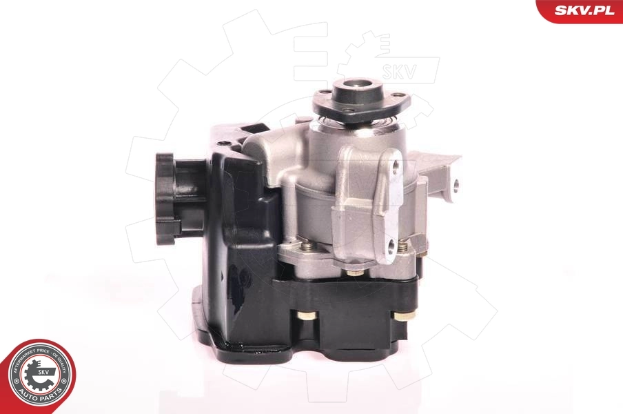 Hydraulic Pump, steering 10SKV162