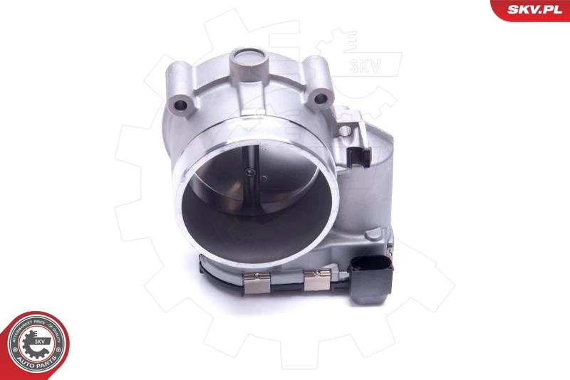 Throttle Body 12SKV109