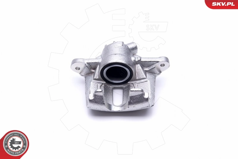Brake Caliper 46SKV532