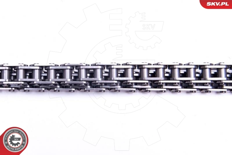 Timing Chain Kit 21SKV157