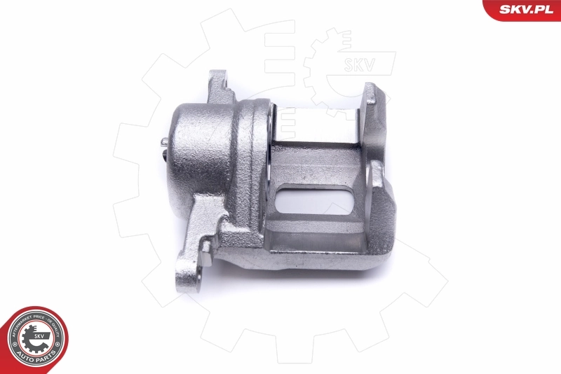 Brake Caliper 50SKV412