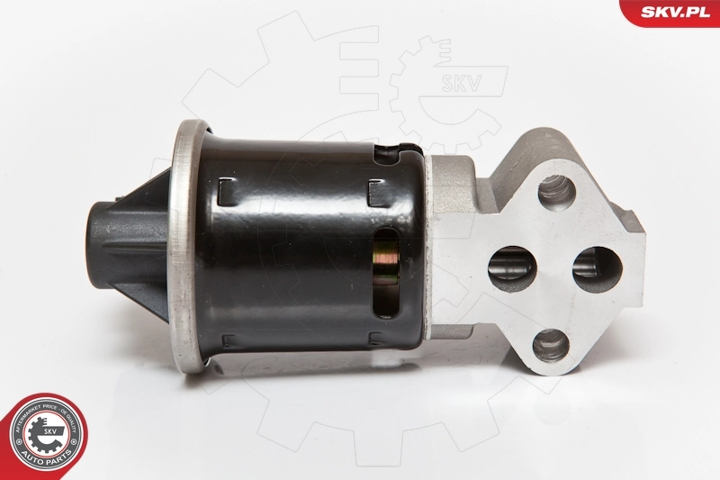 EGR Valve 14SKV059
