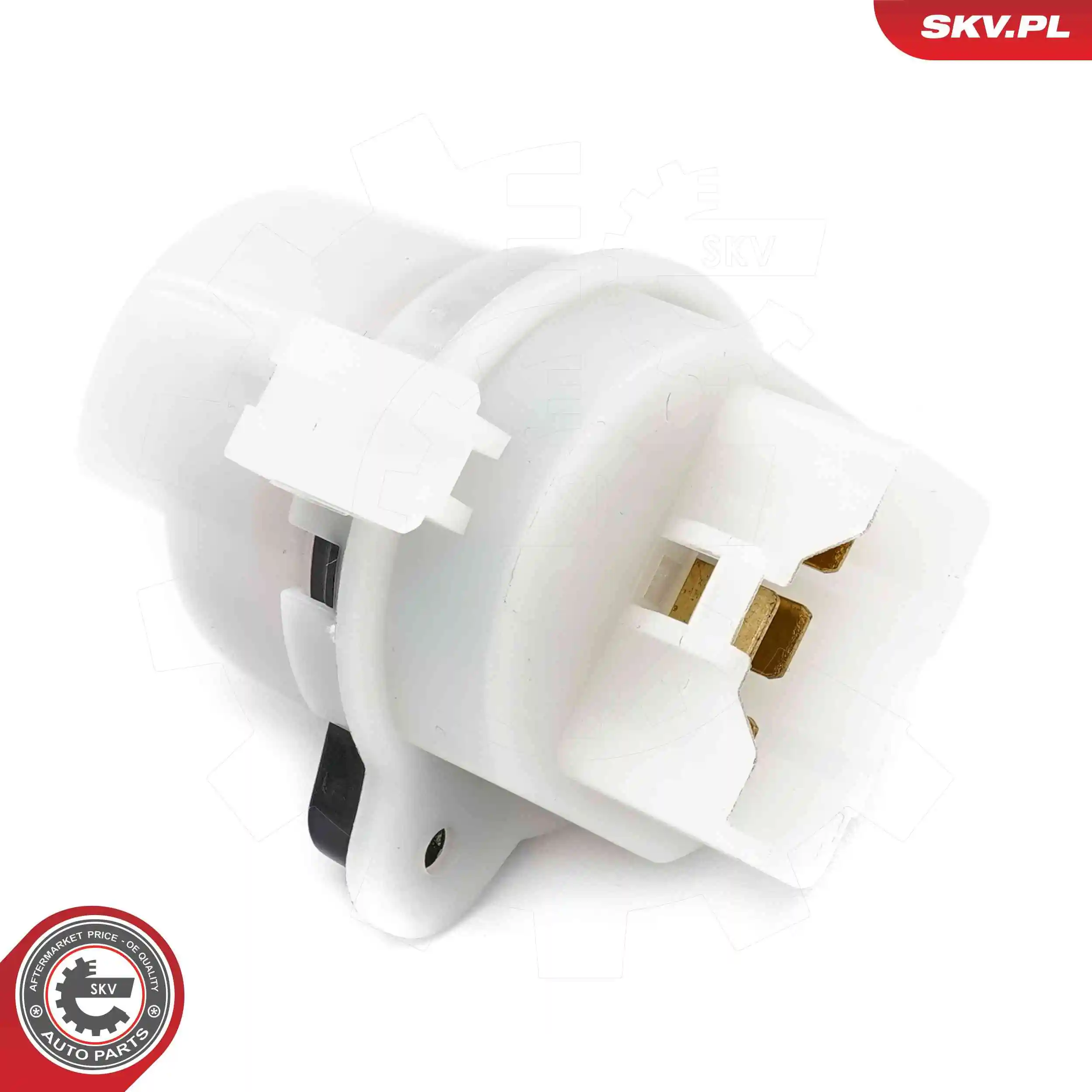 Ignition Switch 65SKV027
