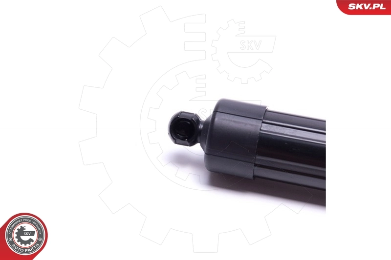 Electric Motor, tailgate 52SKV909