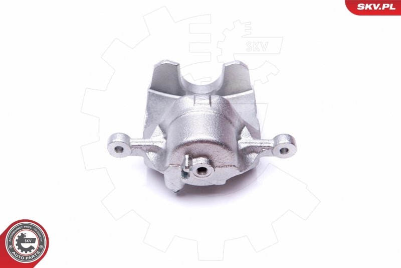 Brake Caliper 45SKV782