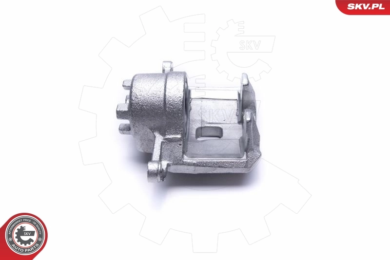 Brake Caliper 50SKV922