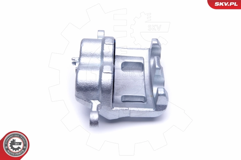 Brake Caliper 50SKV382