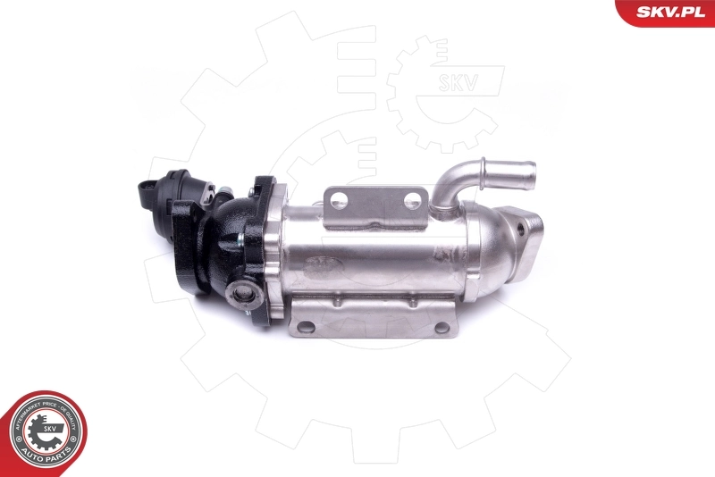 Cooler, exhaust gas recirculation 14SKV227