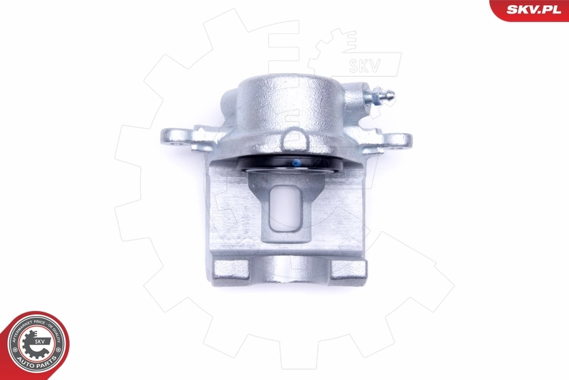 Brake Caliper 50SKV501