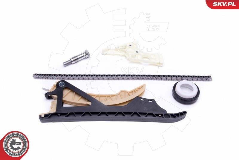 Timing Chain Kit 21SKV169