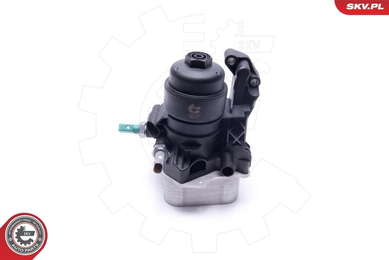 Oil Cooler, engine oil 31SKV169