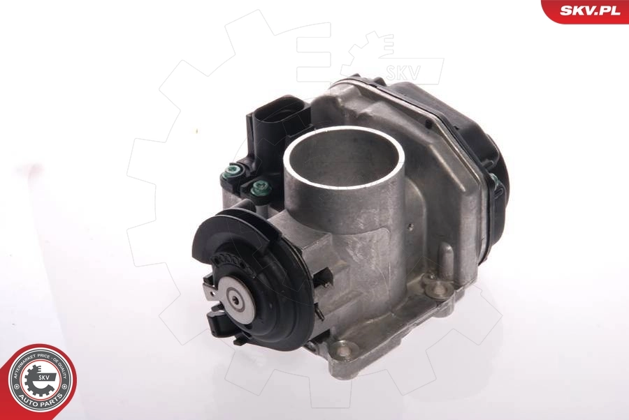 Throttle Body 12SKV024