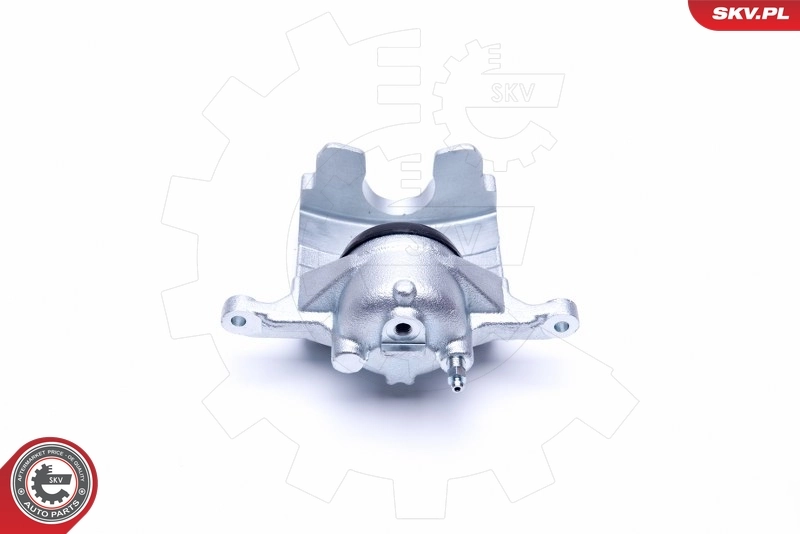 Brake Caliper 44SKV221
