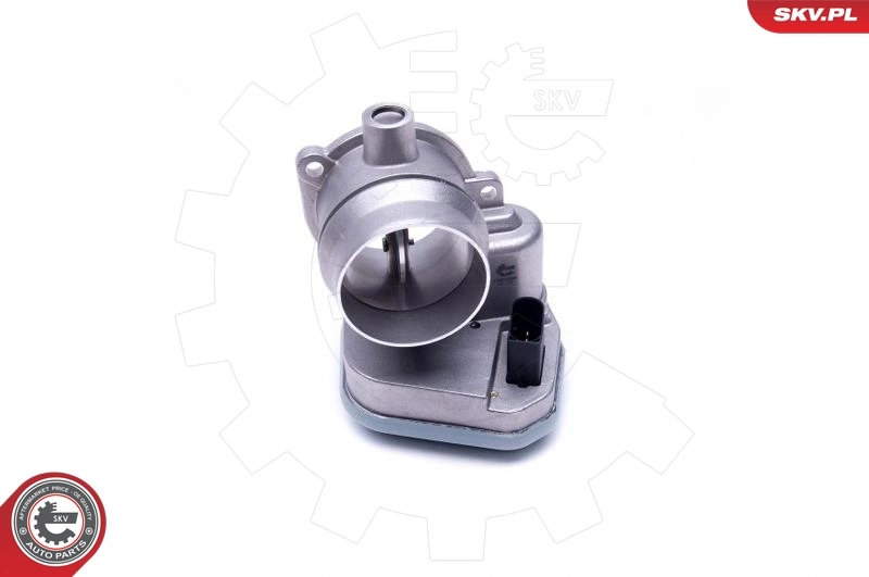 Throttle Body 12SKV094