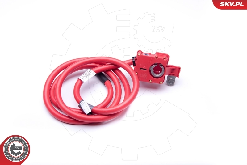 ESEN SKV 96SKV308 Battery Adapter