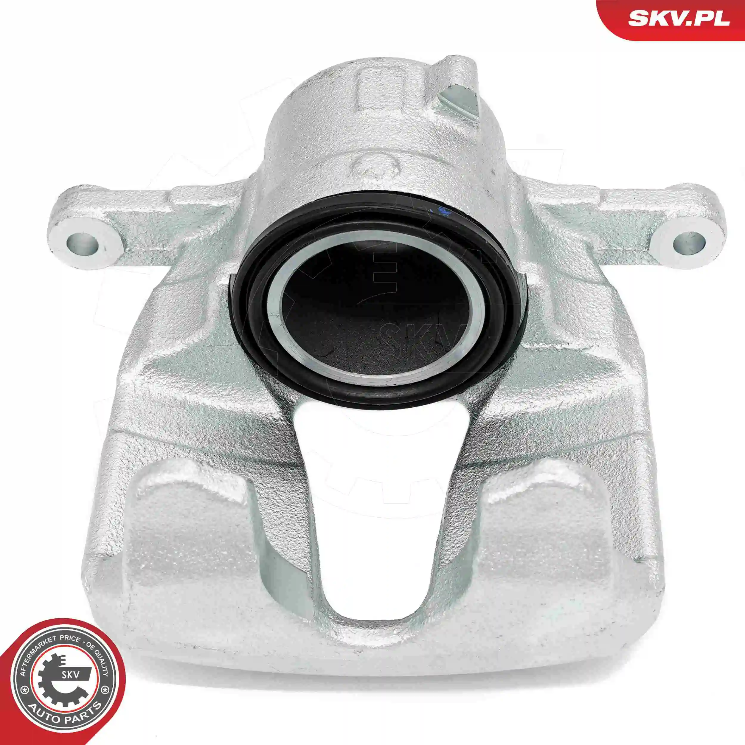 Brake Caliper 56SKV931