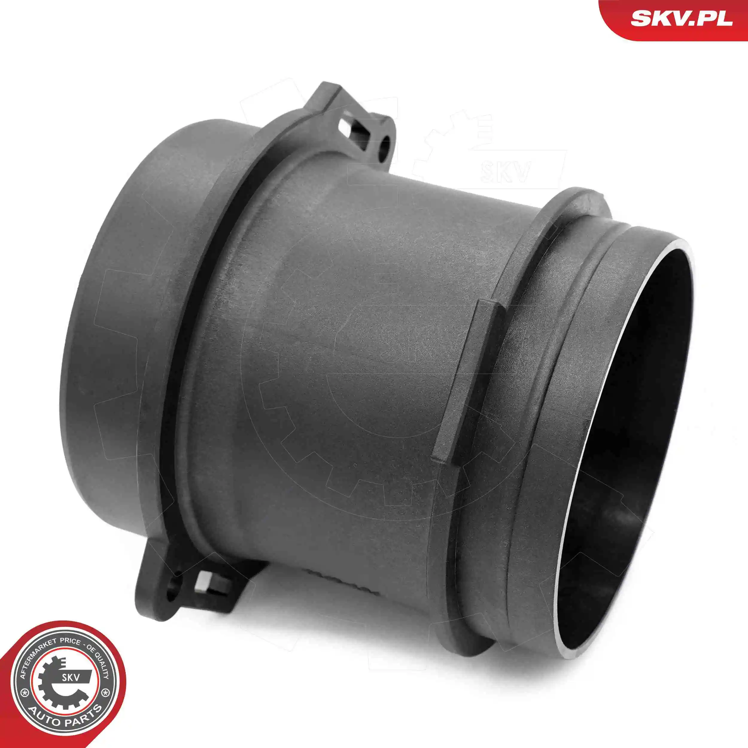 Mass Air Flow Sensor 07SKV202