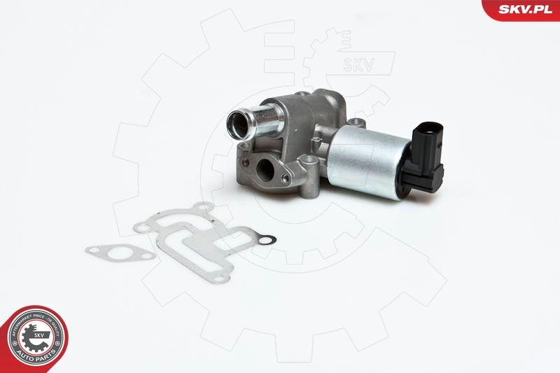 EGR Valve 14SKV030