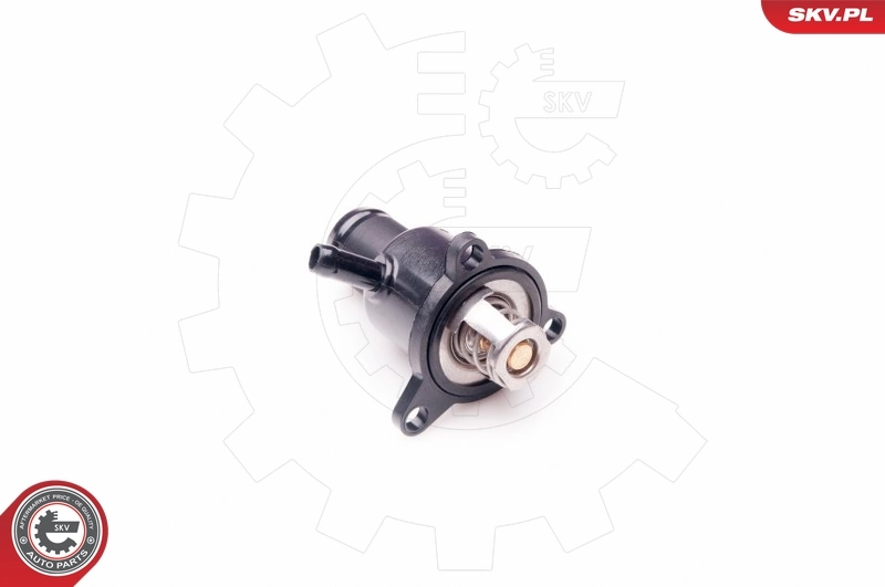 Coolant Flange 20SKV074