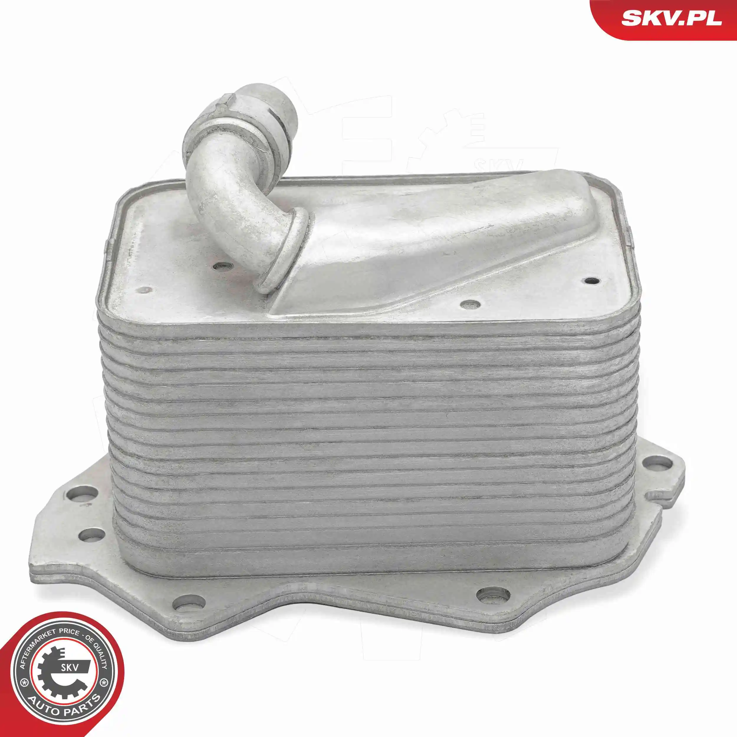 Oil Cooler, engine oil 31SKV368
