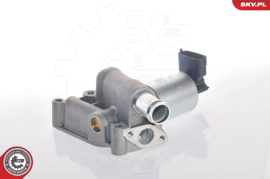 ESEN SKV 14SKV015 EGR Valve