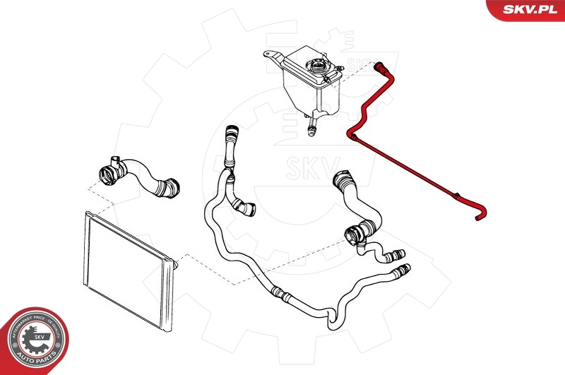 Radiator Hose 43SKV703