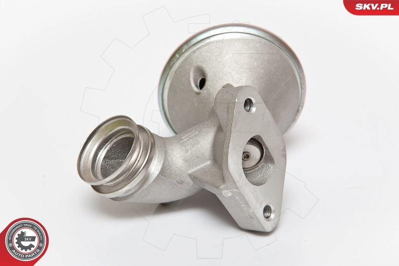 EGR Valve 14SKV075